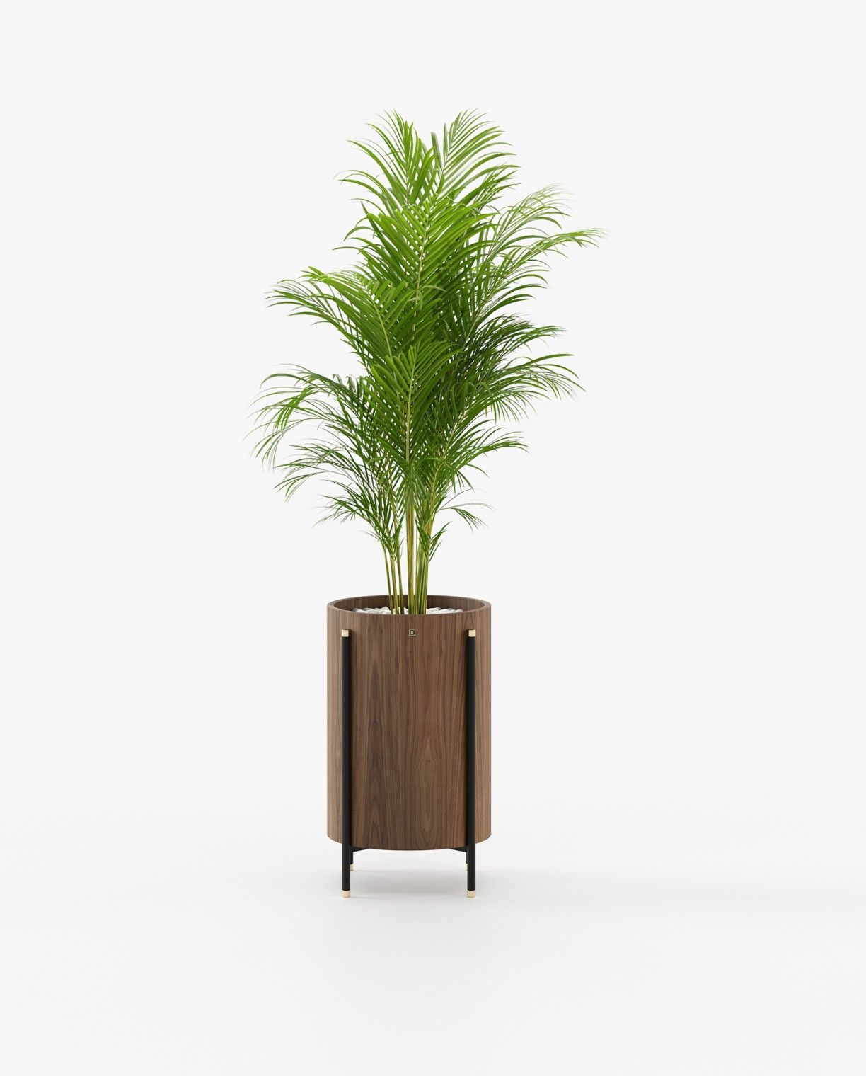 Laskasas ROSIE Planter & Pot Walnut Veneer Matte - Araco Interiors