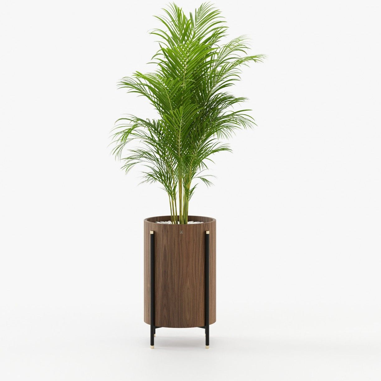 Laskasas ROSIE Planter & Pot Walnut Veneer Matte - Araco Interiors