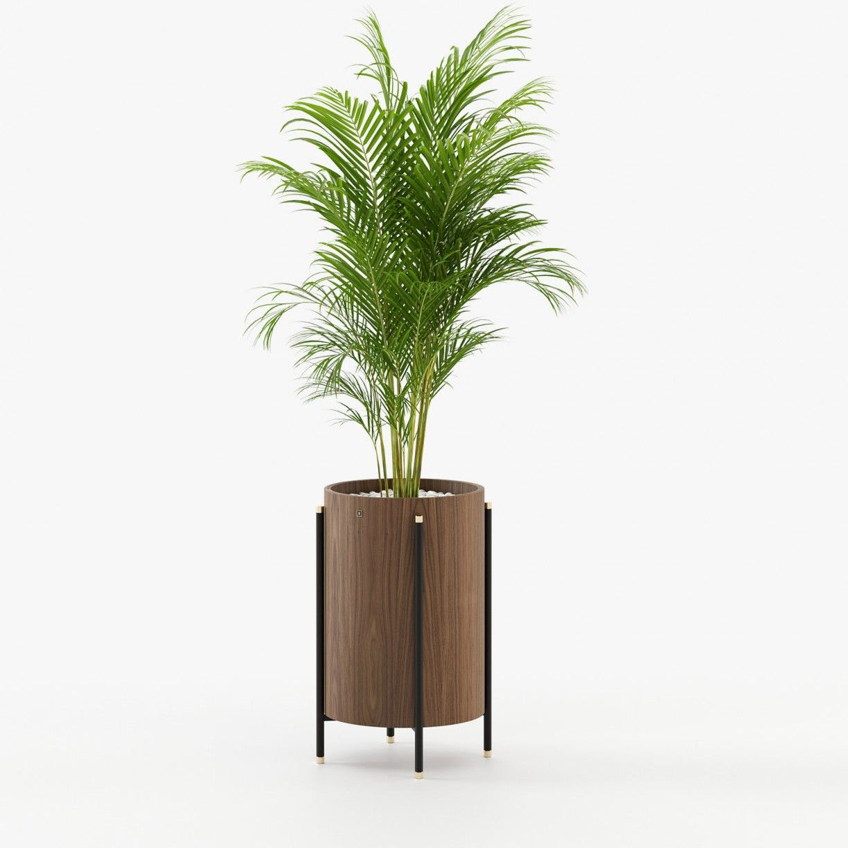 Laskasas ROSIE Planter & Pot Walnut Veneer Matte - Araco Interiors