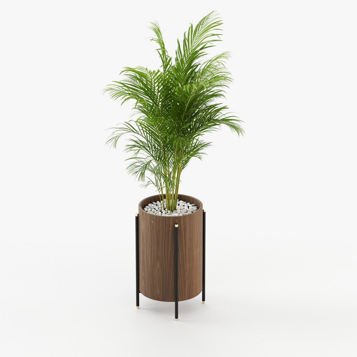 Laskasas ROSIE Planter & Pot Walnut Veneer Matte - Araco Interiors