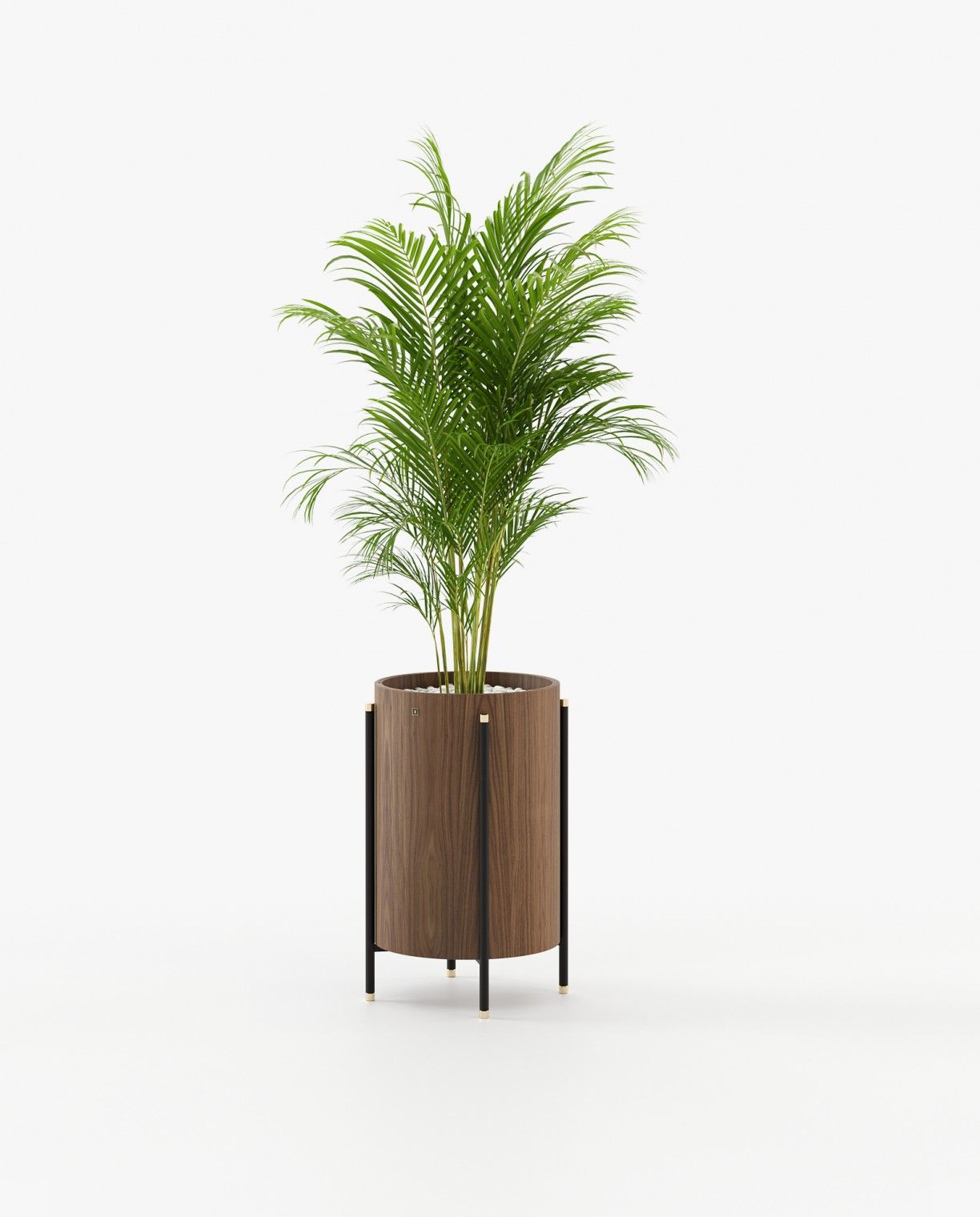 Laskasas ROSIE Planter & Pot Walnut Veneer Matte - Araco Interiors