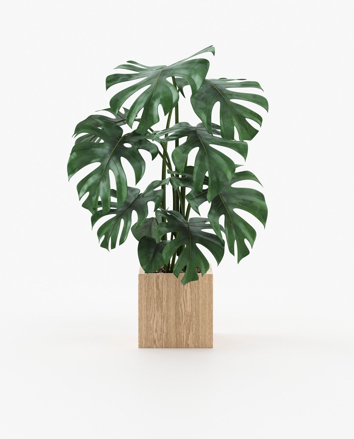 Laskasas STELA Planter & Pot Oak Veneer Matte - Araco Interiors