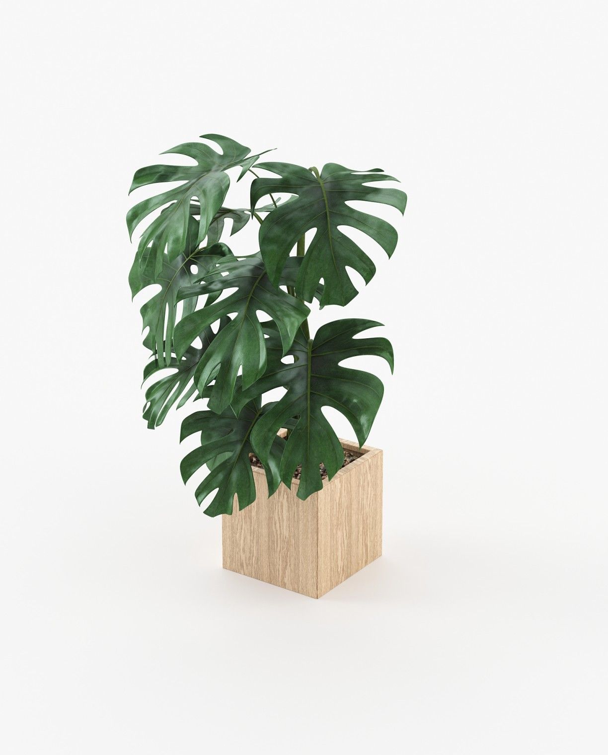 Laskasas STELA Planter & Pot Oak Veneer Matte - Araco Interiors