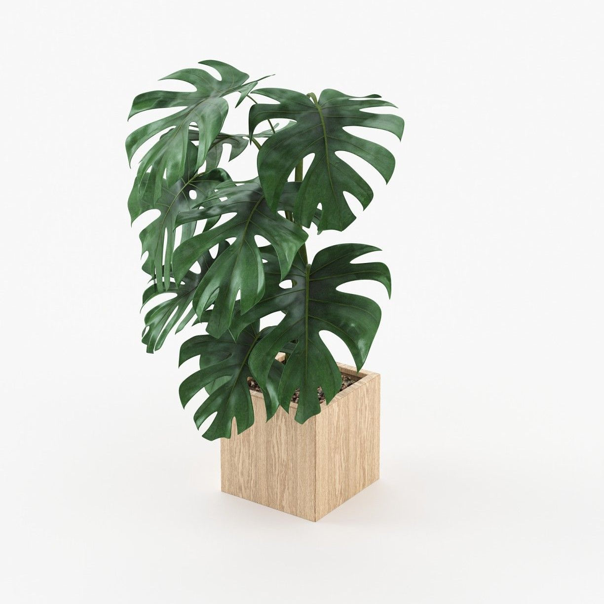 Laskasas STELA Planter & Pot Oak Veneer Matte - Araco Interiors