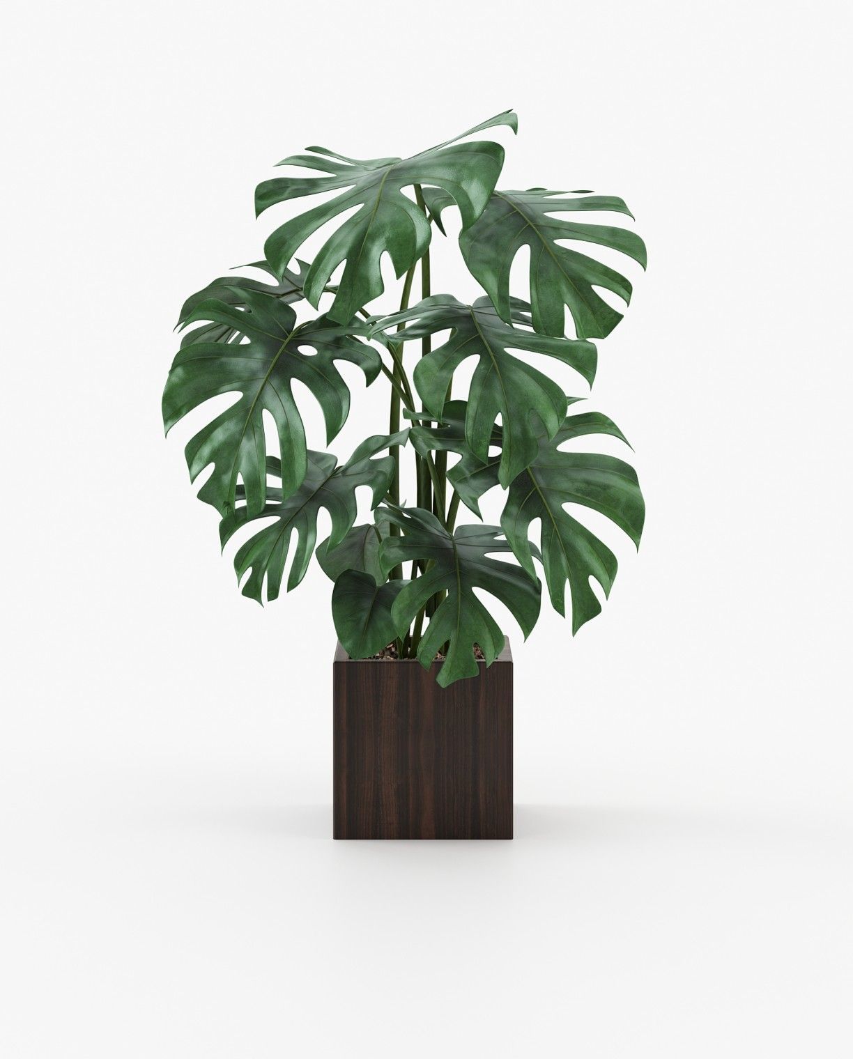 Laskasas STELA Planter & Pot Smoked Eucalyptus Veneer Matte - Araco Interiors