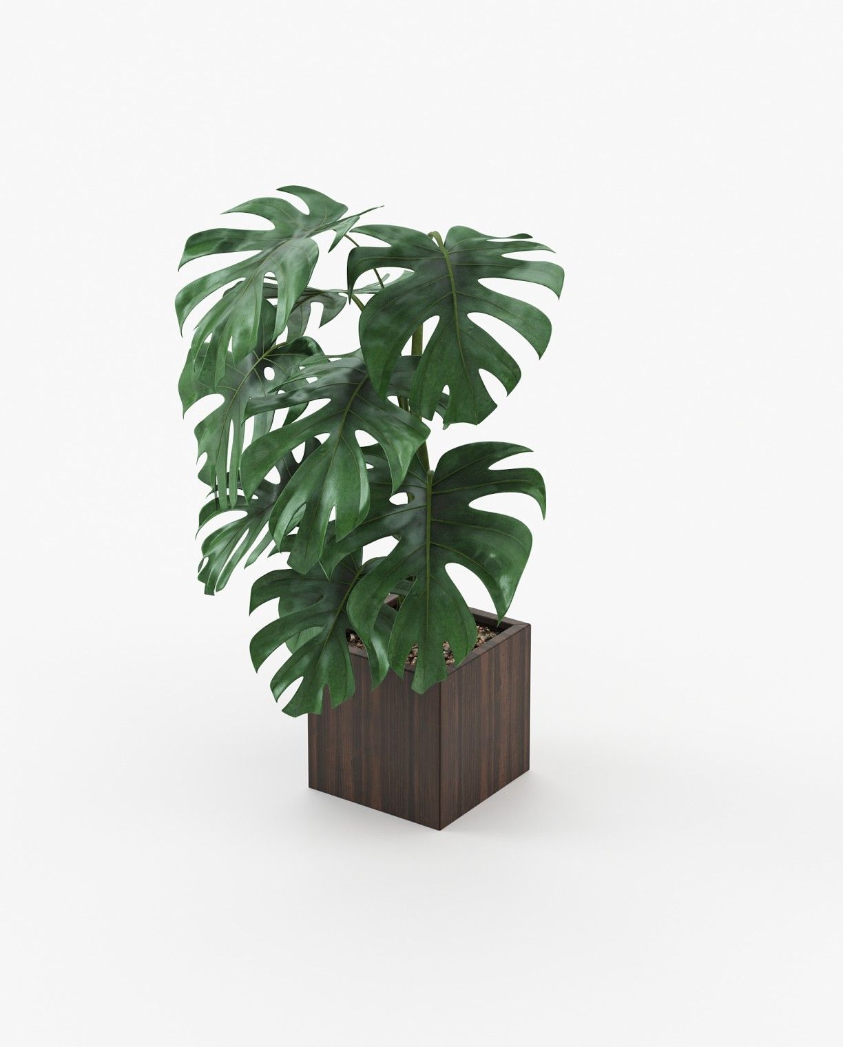 Laskasas STELA Planter & Pot Smoked Eucalyptus Veneer Matte - Araco Interiors