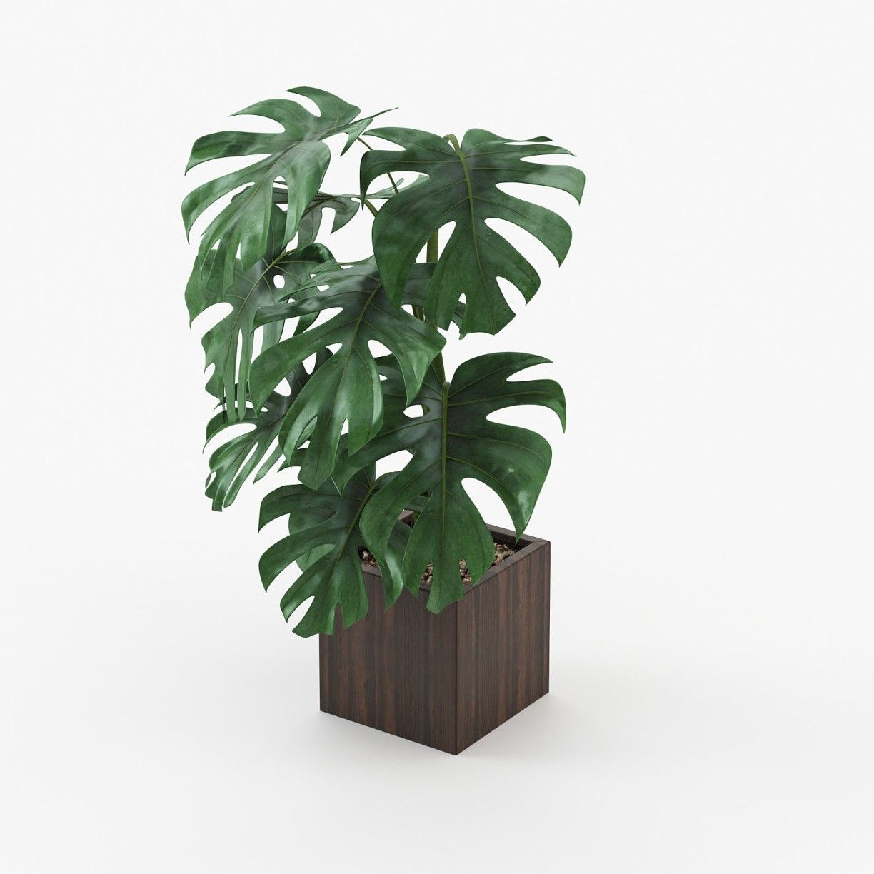 Laskasas STELA Planter & Pot Smoked Eucalyptus Veneer Matte - Araco Interiors