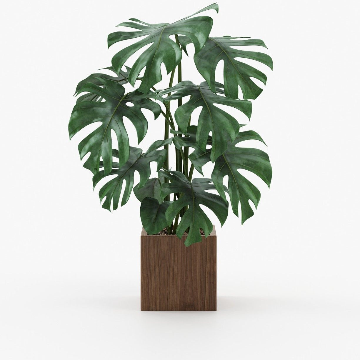 Laskasas STELA Planter & Pot Walnut Veneer Matte - Araco Interiors