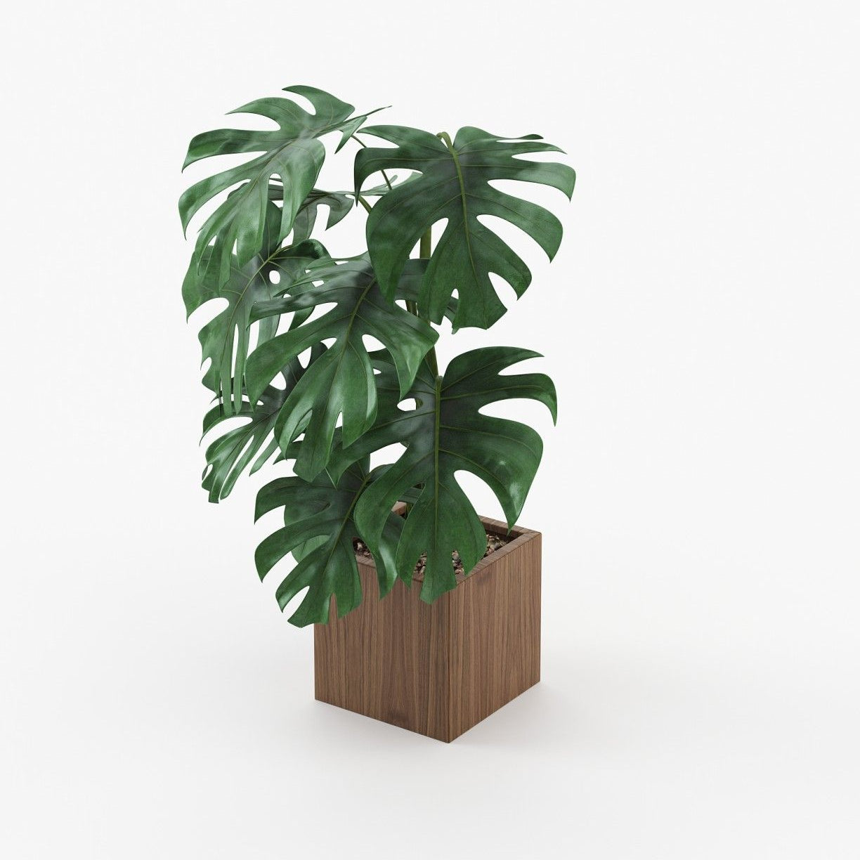Laskasas STELA Planter & Pot Walnut Veneer Matte - Araco Interiors