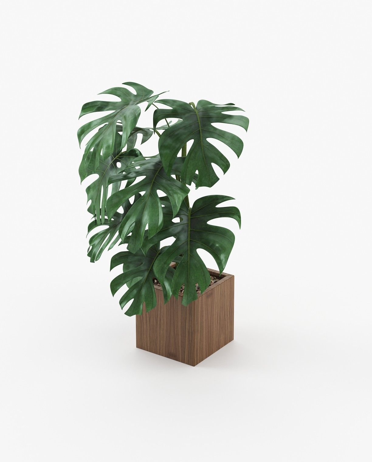 Laskasas STELA Planter & Pot Walnut Veneer Matte - Araco Interiors