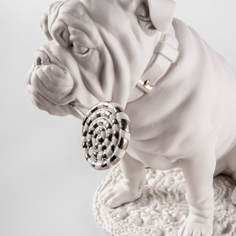 Lladro Bulldog with lollipop (Re - Deco) White - Araco Interiors