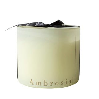 Dome Deco AMBROSIAL L Scent & Candle Cream - Araco Interiors