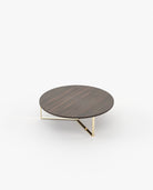 Laskasas DILI Coffee Table Smoked Eucalyptus Veneer Matte - Araco Interiors