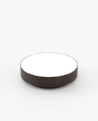Laskasas GOLD Coffee Table Smoked Eucalyptus Veneer Matte - Araco Interiors