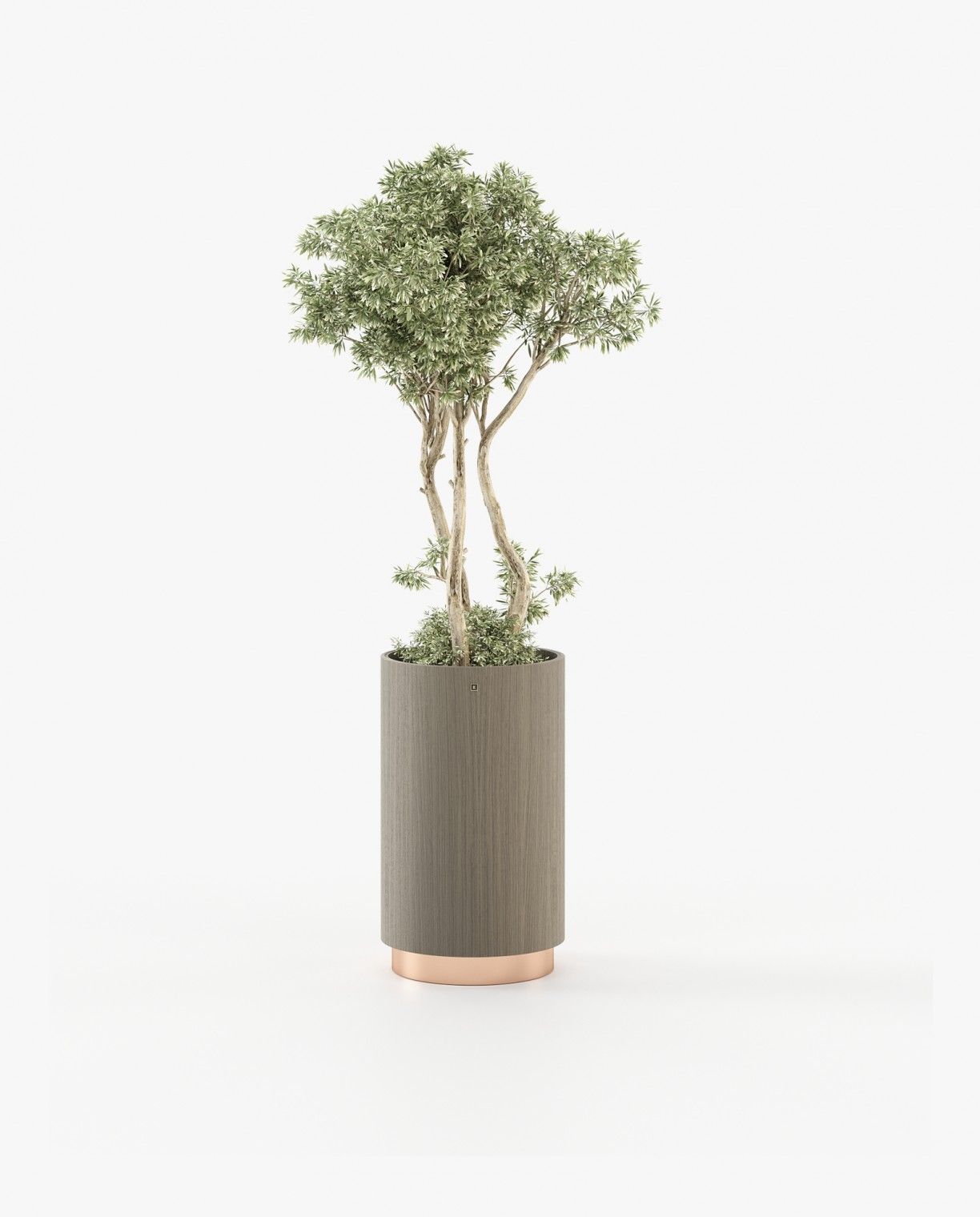 Laskasas GOLD Planter & Pot Aged Oak Veneer Matte - Araco Interiors