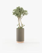 Laskasas GOLD Planter & Pot Aged Oak Veneer Matte - Araco Interiors