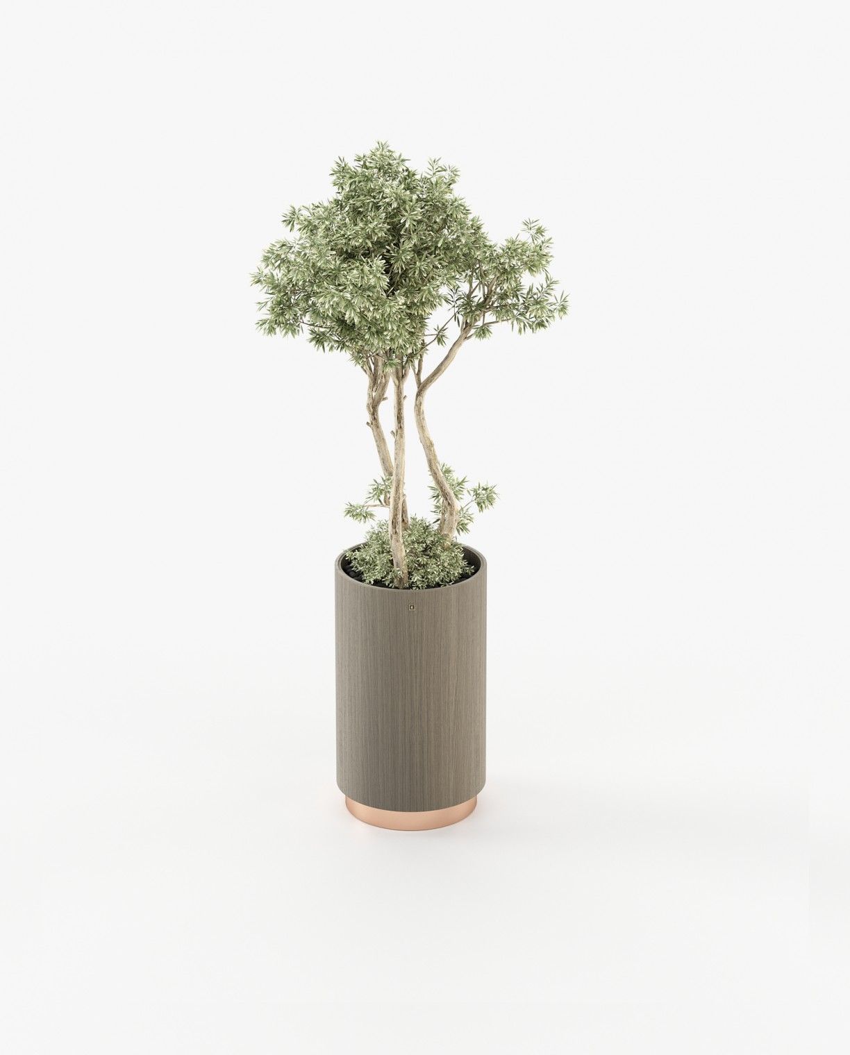 Laskasas GOLD Planter & Pot Aged Oak Veneer Matte - Araco Interiors