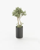 Laskasas GOLD Planter & Pot Grey Eucalyptus Veneer Matte - Araco Interiors