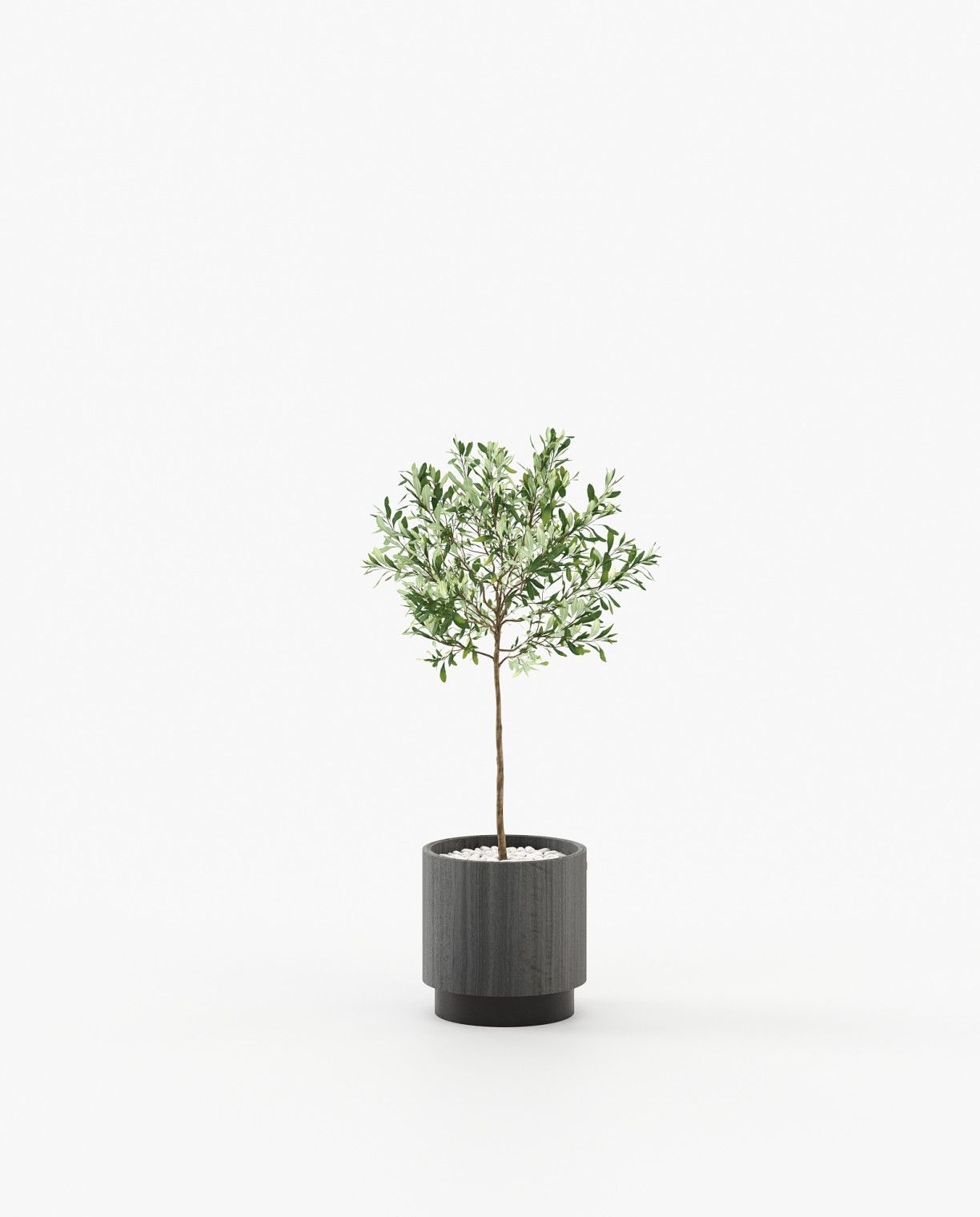 Laskasas GOLD Planter & Pot Grey Eucalyptus Veneer Matte - Araco Interiors