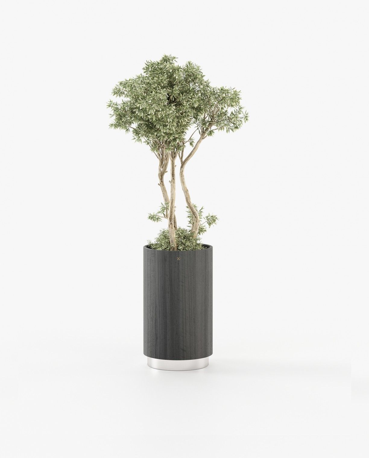 Laskasas GOLD Planter & Pot Grey Eucalyptus Veneer Matte - Araco Interiors