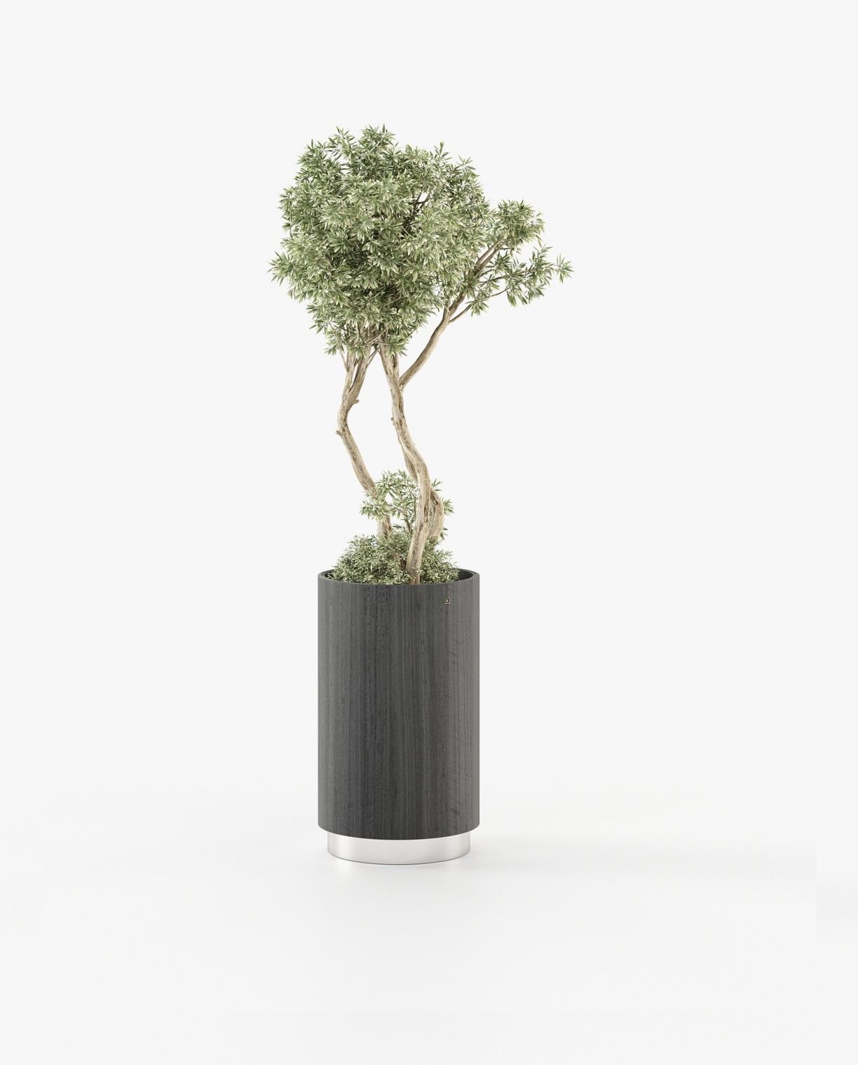 Laskasas GOLD Planter & Pot Grey Eucalyptus Veneer Matte - Araco Interiors