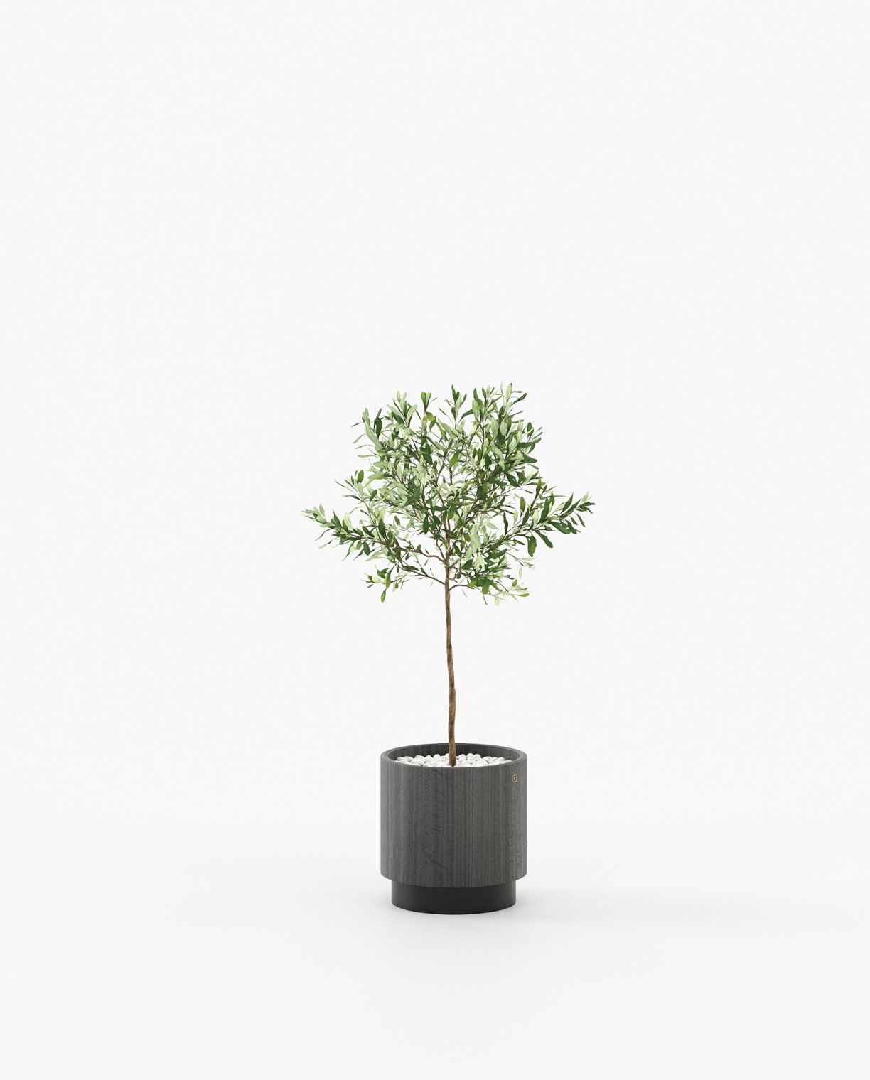 Laskasas GOLD Planter & Pot Grey Eucalyptus Veneer Matte - Araco Interiors