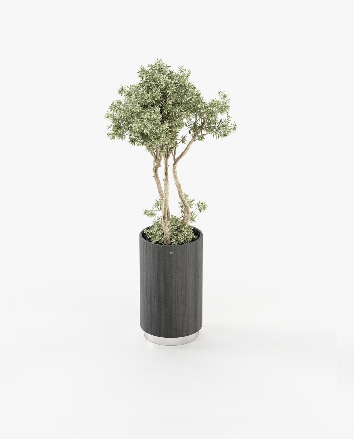 Laskasas GOLD Planter & Pot Grey Eucalyptus Veneer Matte - Araco Interiors