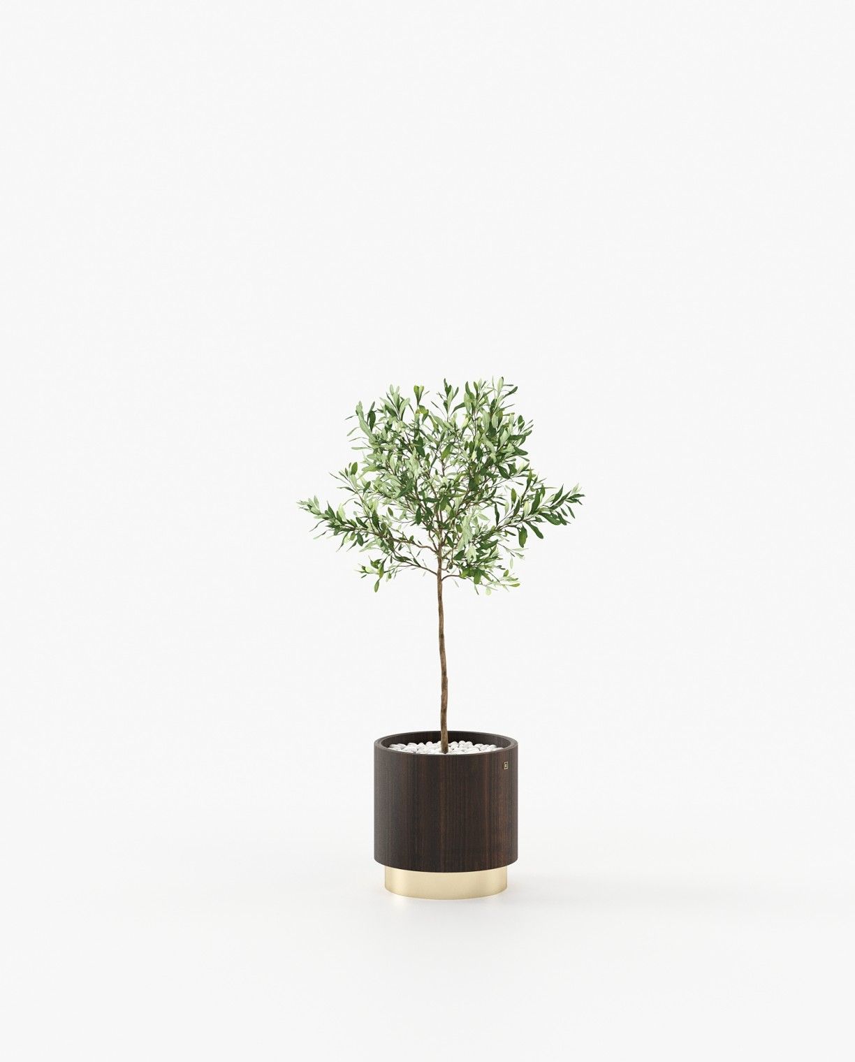 Laskasas GOLD Planter & Pot Smoked Eucalyptus Veneer Matte - Araco Interiors