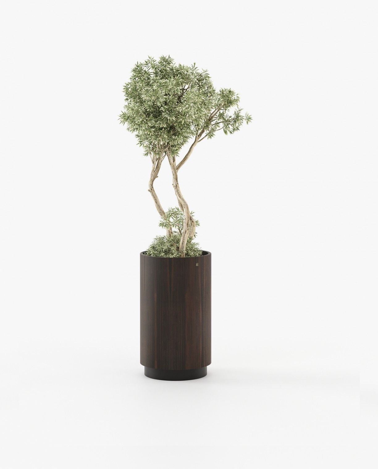 Laskasas GOLD Planter & Pot Smoked Eucalyptus Veneer Matte - Araco Interiors