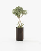 Laskasas GOLD Planter & Pot Smoked Eucalyptus Veneer Matte - Araco Interiors