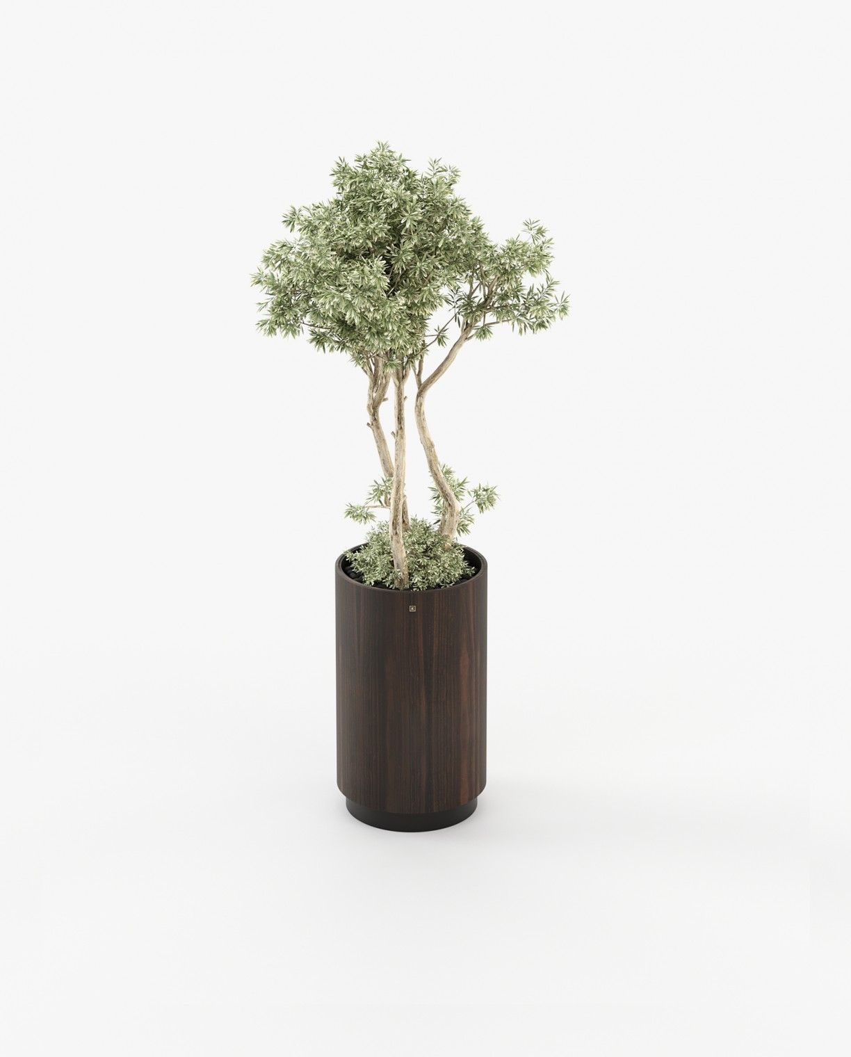 Laskasas GOLD Planter & Pot Smoked Eucalyptus Veneer Matte - Araco Interiors
