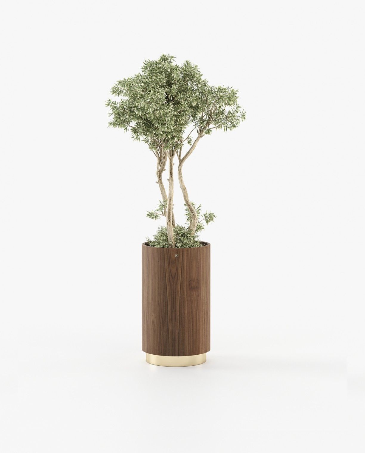 Laskasas GOLD Planter & Pot Walnut Veneer Matte - Araco Interiors