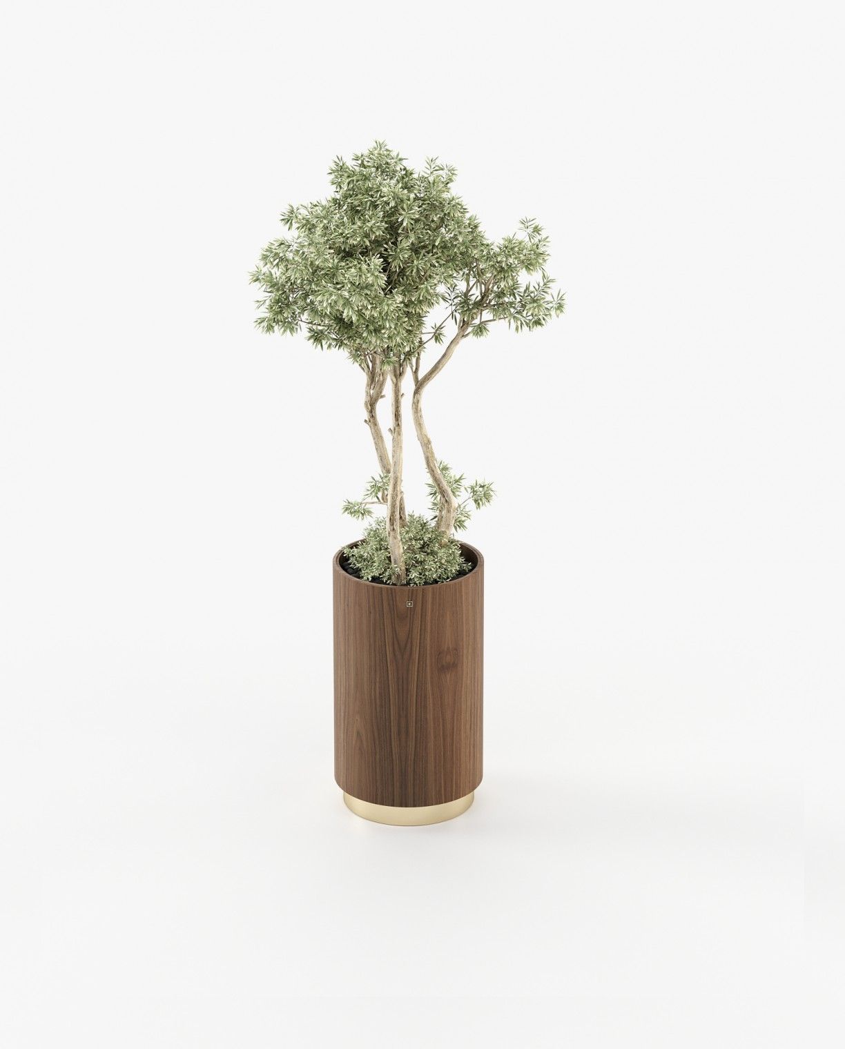 Laskasas GOLD Planter & Pot Walnut Veneer Matte - Araco Interiors