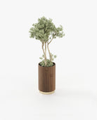 Laskasas GOLD Planter & Pot Walnut Veneer Matte - Araco Interiors