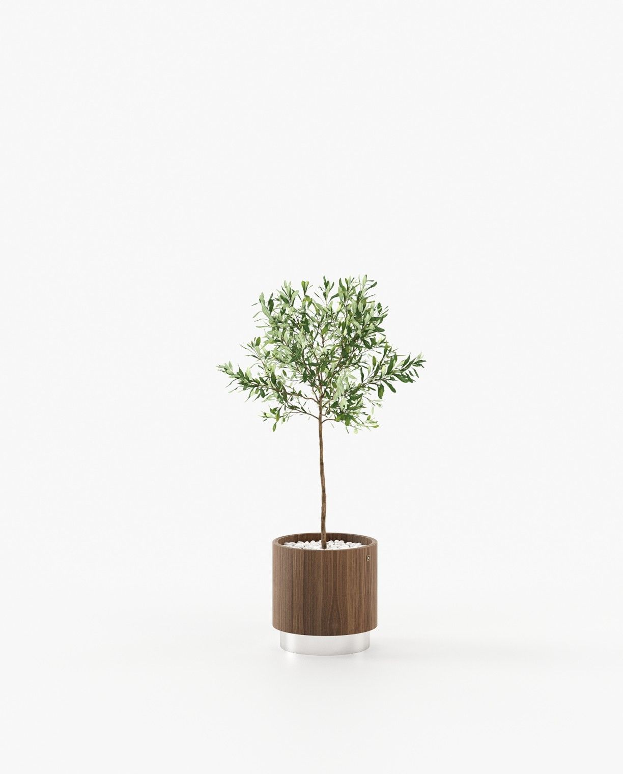 Laskasas GOLD Planter & Pot Walnut Veneer Matte - Araco Interiors
