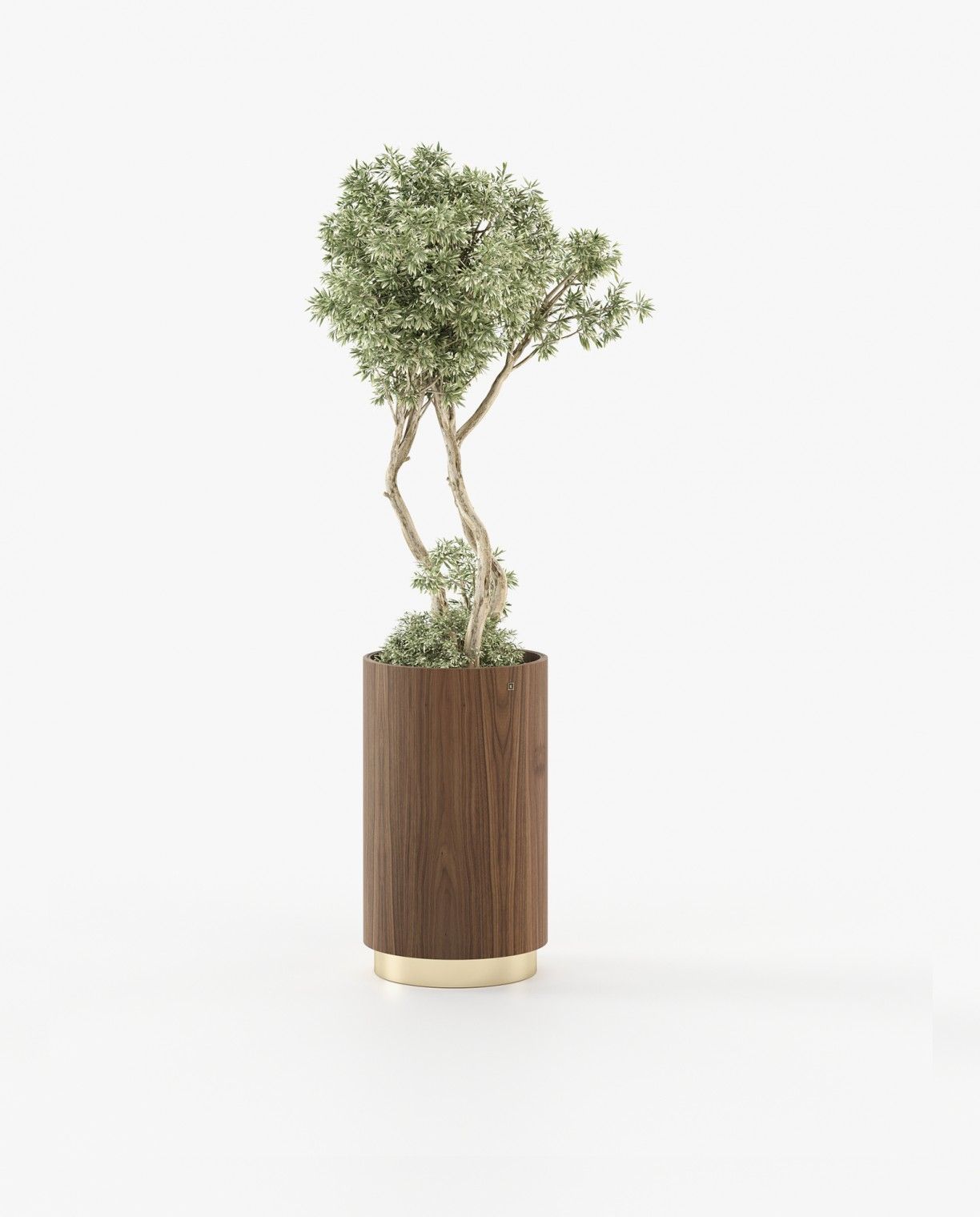 Laskasas GOLD Planter & Pot Walnut Veneer Matte - Araco Interiors