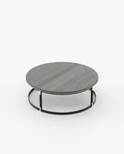 Laskasas LYSSA Coffee Table Grey Eucalyptus Veneer Matte - Araco Interiors