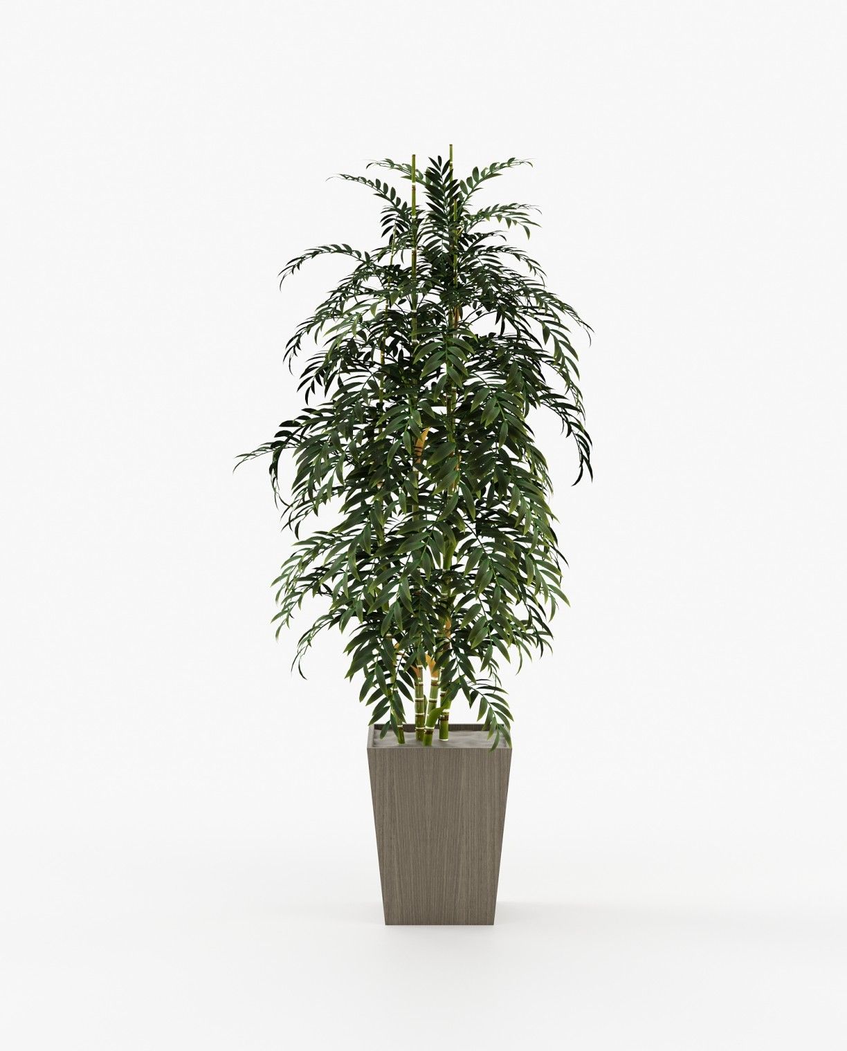 Laskasas POPPY Planter & Pot Aged Oak Veneer Matte - Araco Interiors