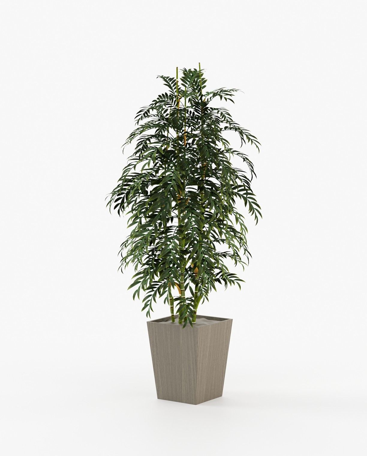 Laskasas POPPY Planter & Pot Aged Oak Veneer Matte - Araco Interiors