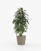 Laskasas POPPY Planter & Pot Aged Oak Veneer Matte - Araco Interiors