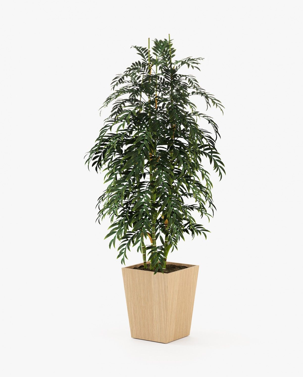 Laskasas POPPY Planter & Pot Oak Veneer Matte - Araco Interiors