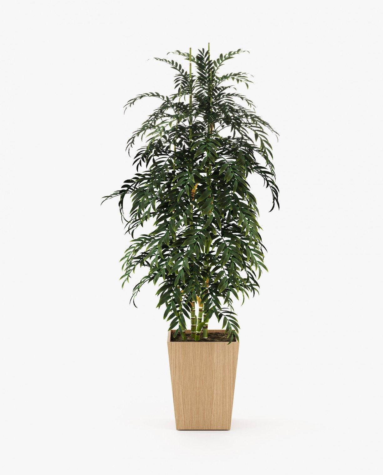 Laskasas POPPY Planter & Pot Oak Veneer Matte - Araco Interiors
