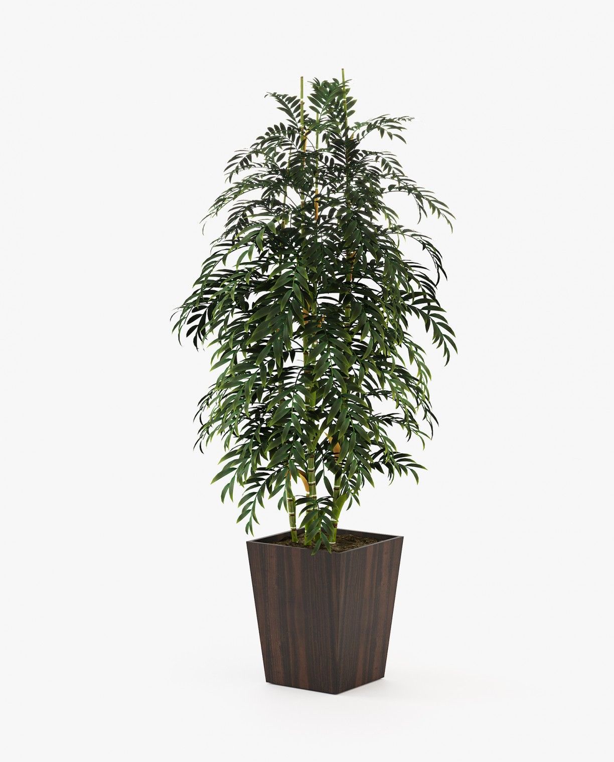 Laskasas POPPY Planter & Pot Smoked Eucalyptus Veneer Matte - Araco Interiors