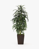 Laskasas POPPY Planter & Pot Smoked Eucalyptus Veneer Matte - Araco Interiors