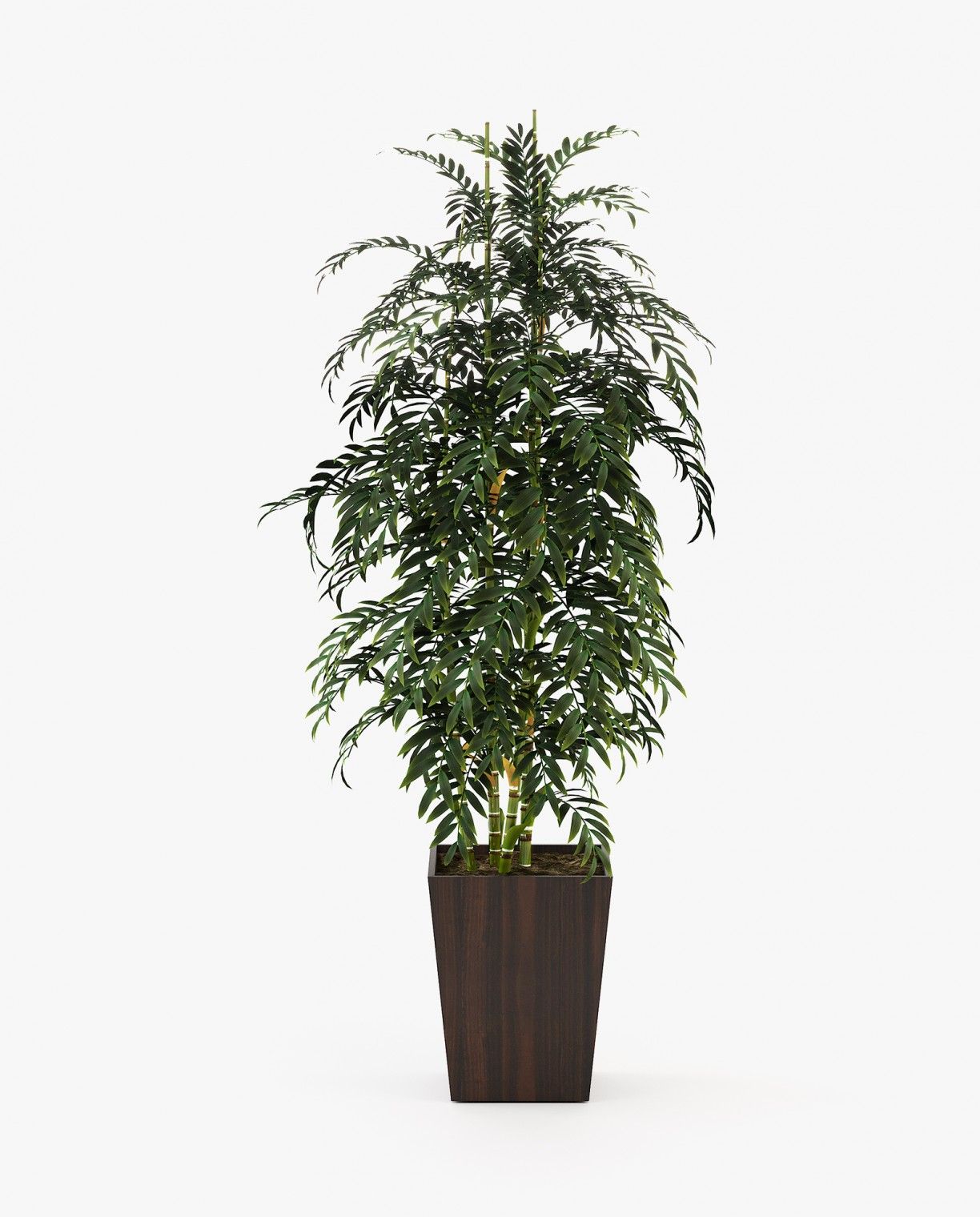 Laskasas POPPY Planter & Pot Smoked Eucalyptus Veneer Matte - Araco Interiors