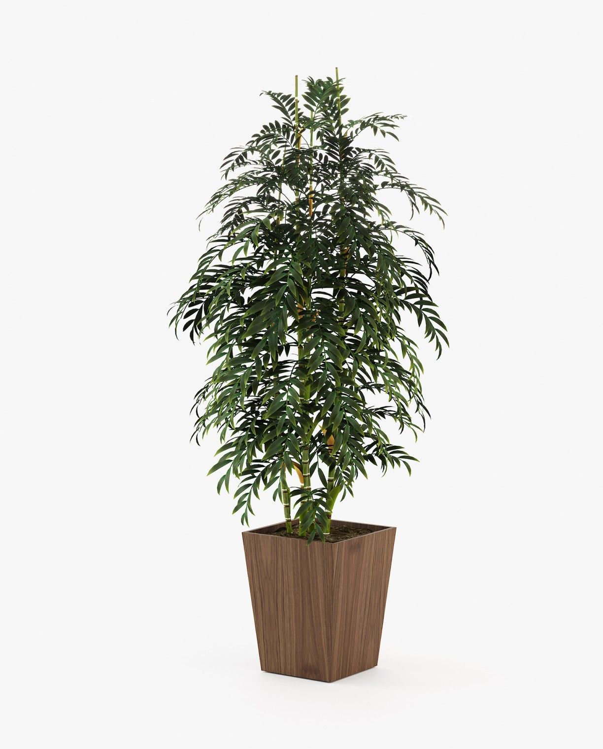 Laskasas POPPY Planter & Pot Walnut Veneer Matte - Araco Interiors