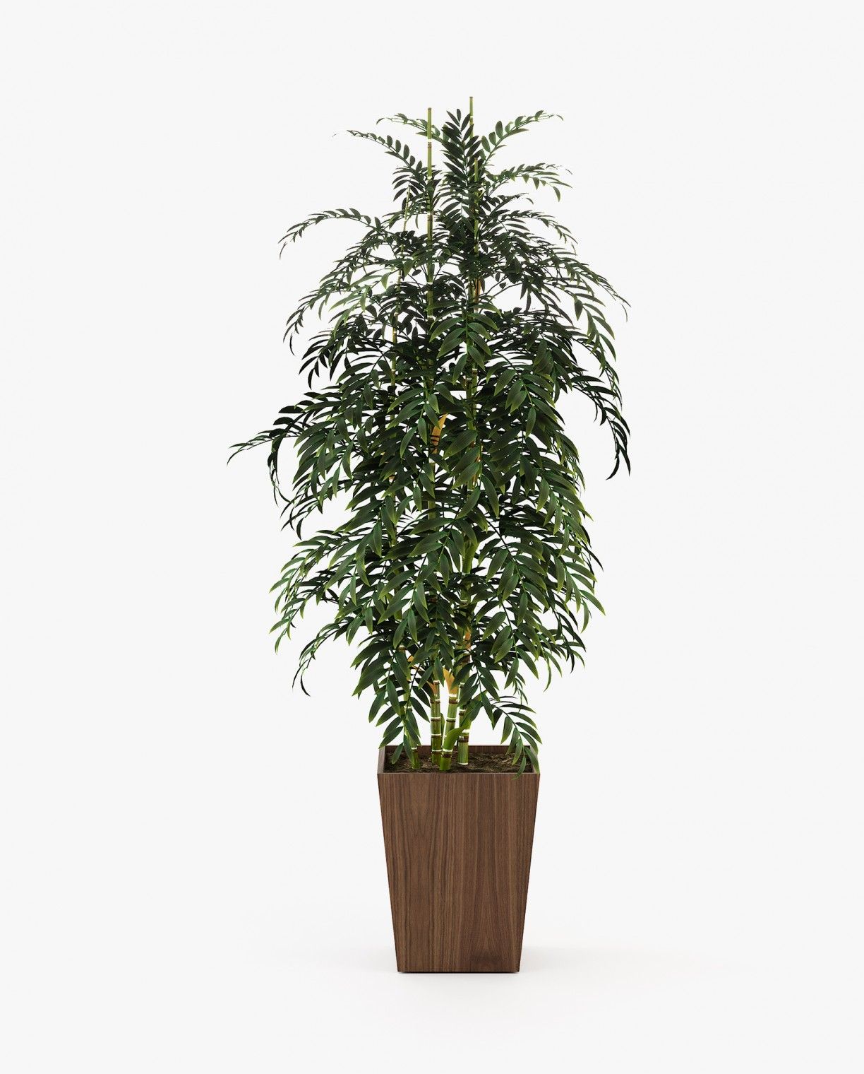 Laskasas POPPY Planter & Pot Walnut Veneer Matte - Araco Interiors