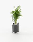 Laskasas ROSIE Planter & Pot Grey Eucalyptus Veneer Matte - Araco Interiors