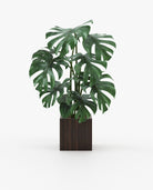 Laskasas STELA Planter & Pot Smoked Eucalyptus Veneer Matte - Araco Interiors